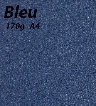 papier Bleu A4 170g
