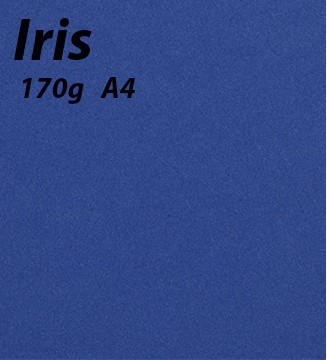 papier Iris A4 170g