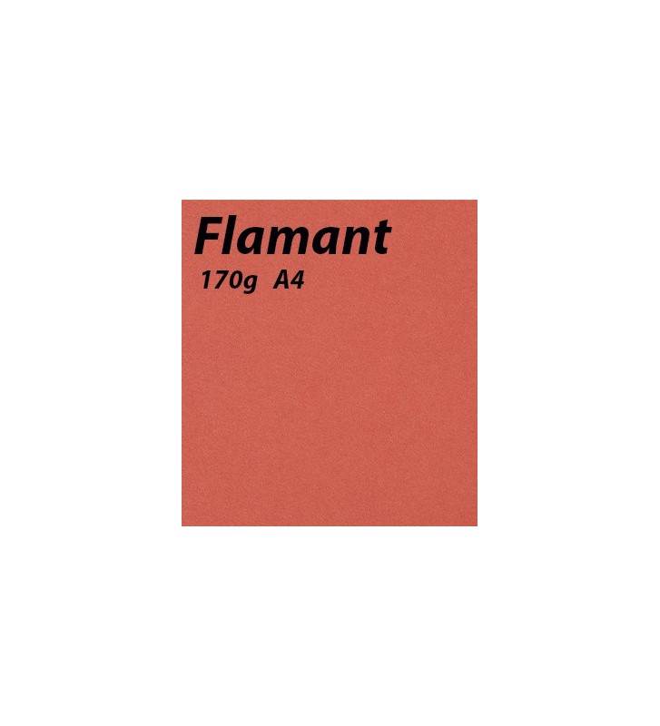 papier Flamant A4 170g