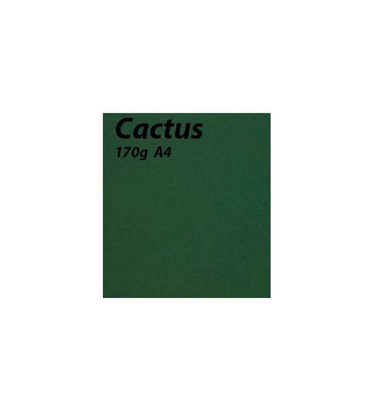 papier Cactus A4 170g