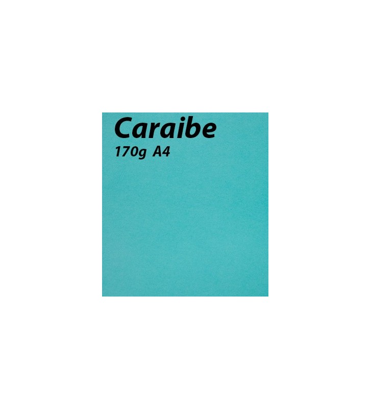 Papier Caraibe A4 170g