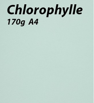 papier Chlorophylle A4 170g
