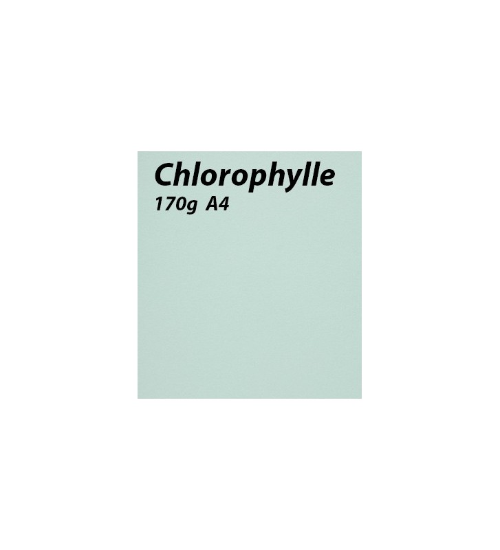papier Chlorophylle A4 170g