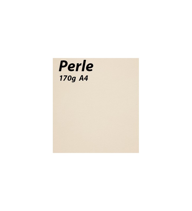 Papier de création A4 en 170 grammes couleur Perle