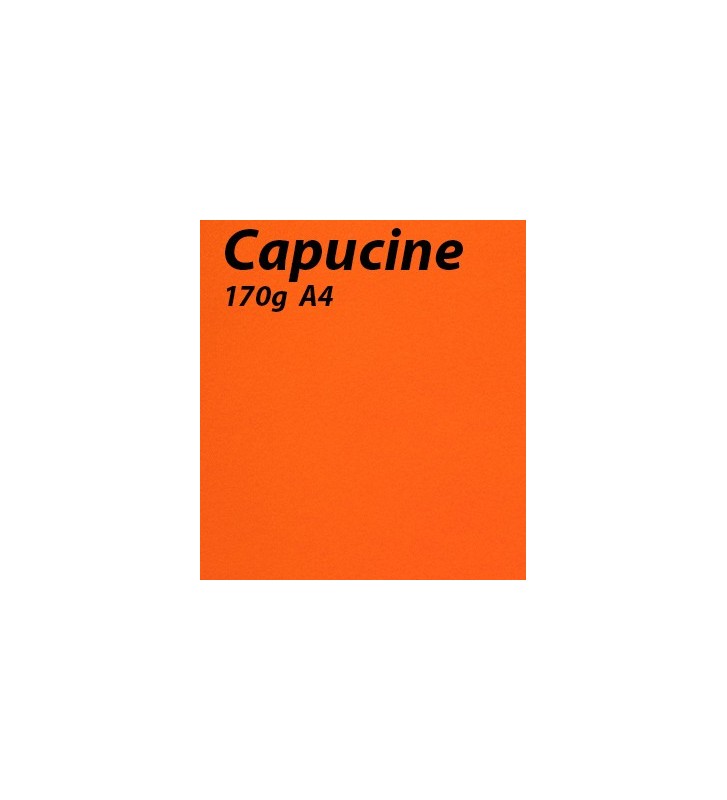 papier Capucine A4 170g