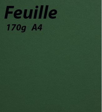 Arc en ciel Italien 30 colories variées papier A4 en 170g