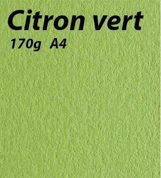 Papier 170g A4 Citron vert