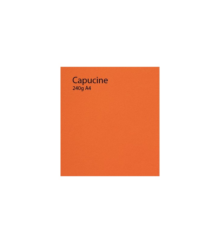 240g Capucine papier A4