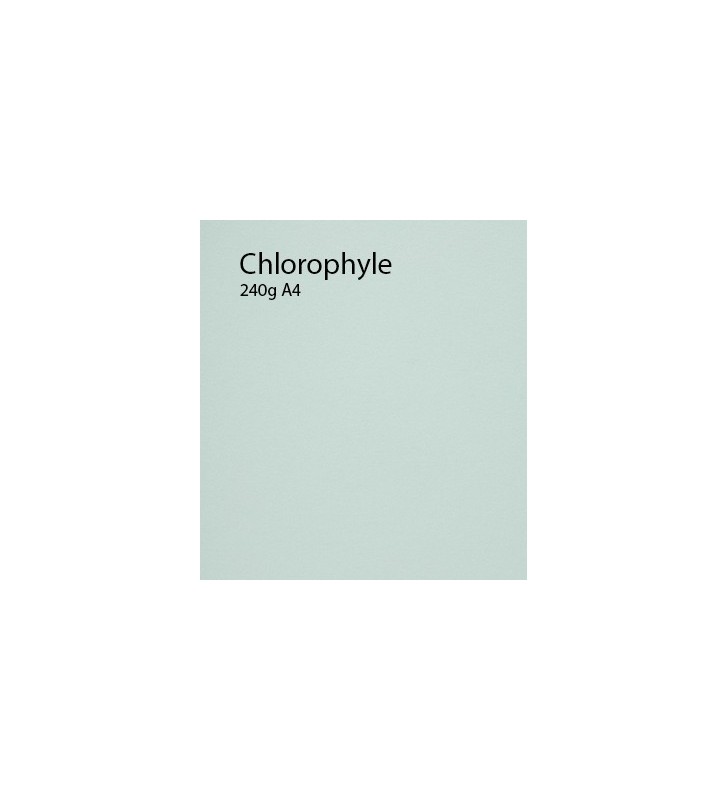 240g Chlorophylle papier A4