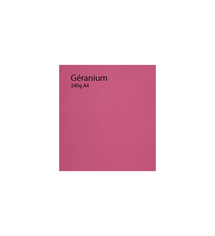 240g Géranium papier A4