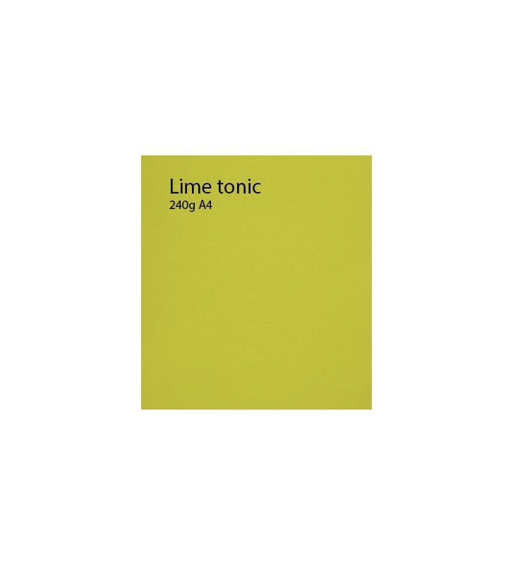 240g Lime-Tonic papier A4