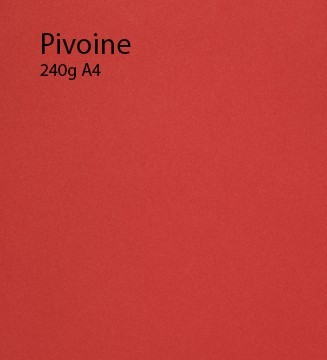 240g Pivoine papier A4