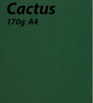 125 feuilles Cactus