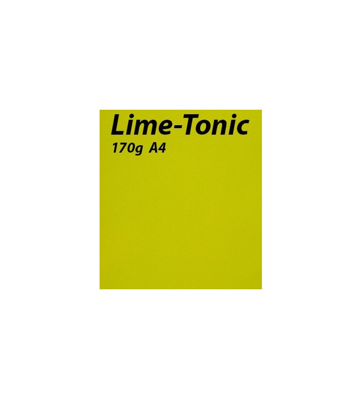 125 feuilles Lime-Tonic