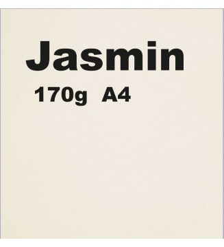 Papier 170g A4 couleur Jasmin