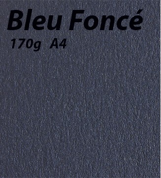 125 feuilles Bleu Foncé