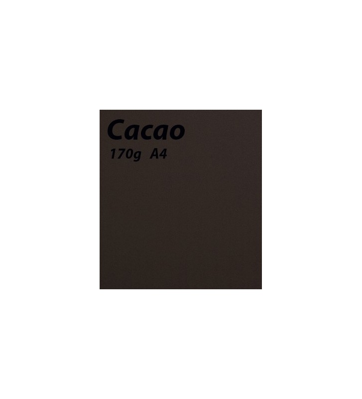 Papier Cacao A4 170g