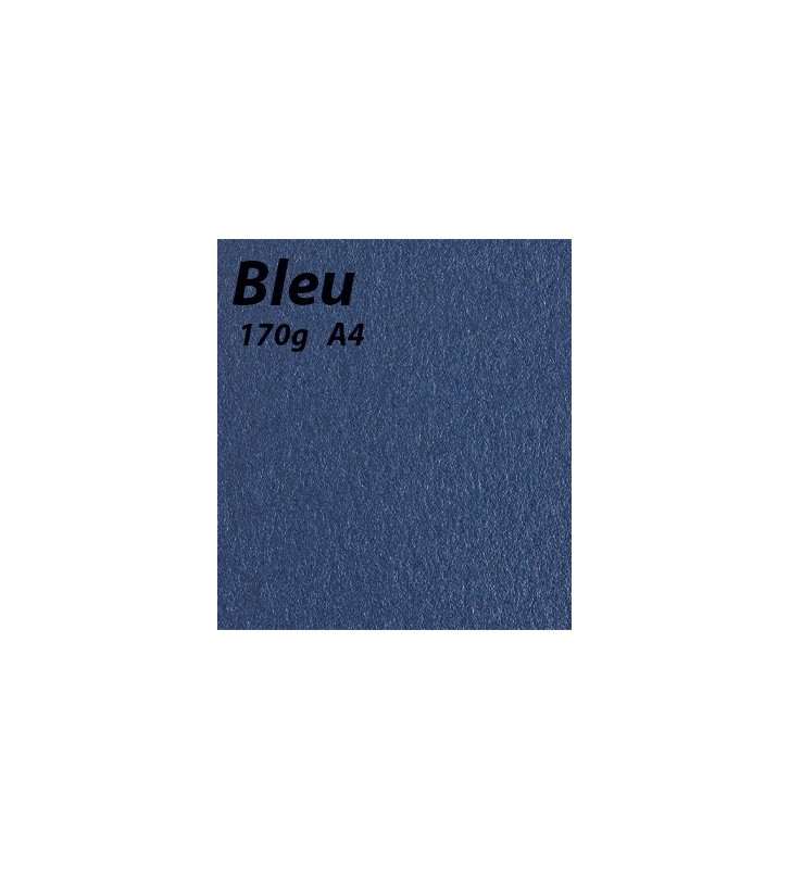papier Bleu A4 170g