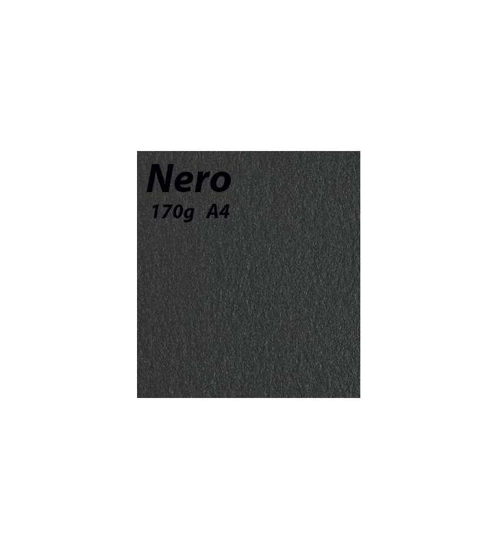 papier Nero A4 170g