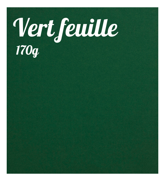 CARTON A4 50 feuilles - Ensemble de 10 couleurs colorées