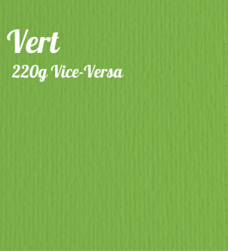 Papier A4 220g double texture - vert- verde - paper craft