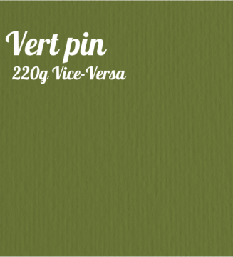 Papier A4 220g double texture - vert pin- verdone - paper craft