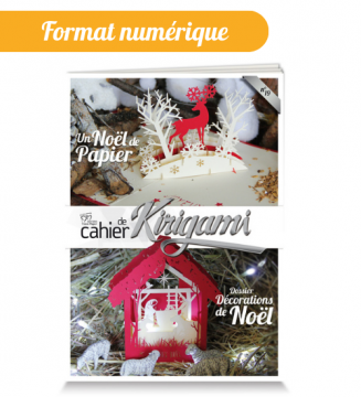 Cahier de kirigami n°19 :...