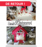 N°19 : Un Noël de papier -...