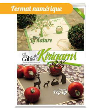 Cahier de kirigami N°16 :...