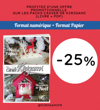 PACK LIVRE + PDF :  N°19 Un...