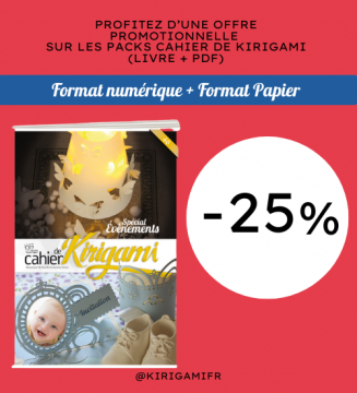 PACK LIVRE + PDF :N°17 :...